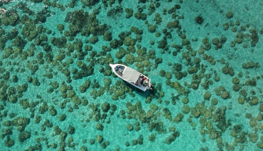 découvrez l'île maurice, une destination paradisiaque réputée pour ses plages de sable blanc, ses eaux turquoise et sa culture vibrante. préparez votre voyage et explorez les merveilles de l'île maurice.